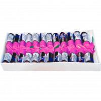 Фейерверки P500 (1 упаковка, 24 шт.) АНАЛОГОВЫЕ P1000