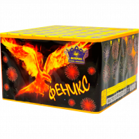 Салют Фенікс СУ30-100/5